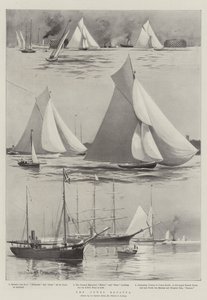 Cowes Regatta